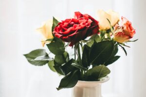 rose 